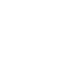 ESTRELLA ICONO@4x